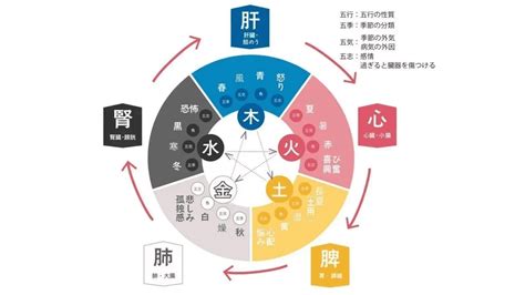 陽樹と陰樹 五行 金顏色